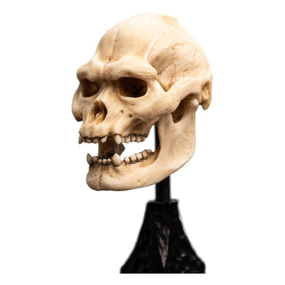 El señor de los anillos Mini Statue Skull of Lurtz 14 cm