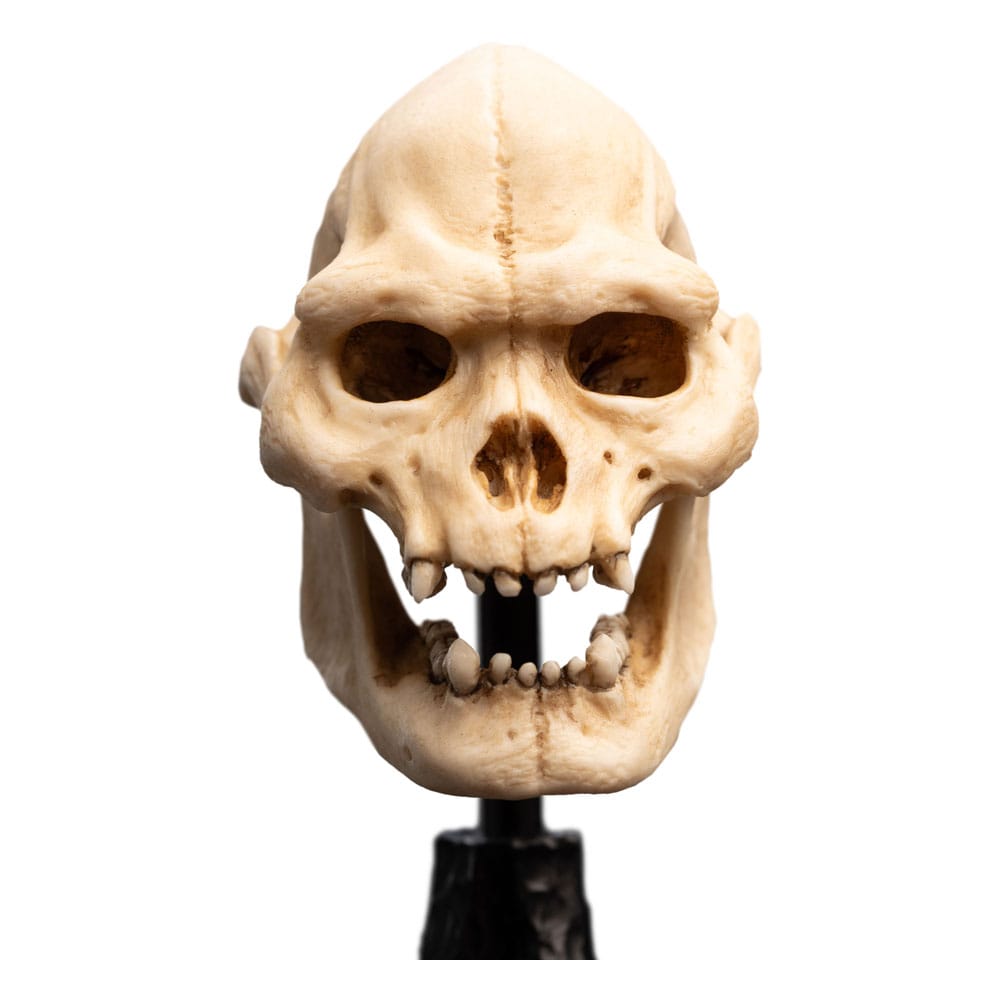 El señor de los anillos Mini Statue Skull of Lurtz 14 cm
