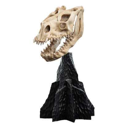 El señor de los anillos Mini Statue Skull de una bestia cayera 21 cm