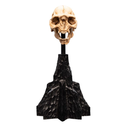 Lord of the Rings Mini Standue Skull van een Moria Orc 13 cm