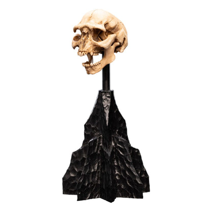 Lord of the Rings Mini Standue Skull van een Moria Orc 13 cm