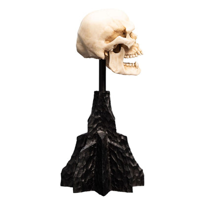 Lord of the Rings Mini Statue Skull of a Mordor orc 14 cm