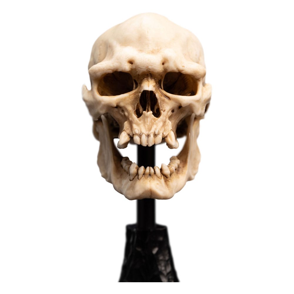 Lord of the Rings Mini Statue Skull of a Mordor orc 14 cm