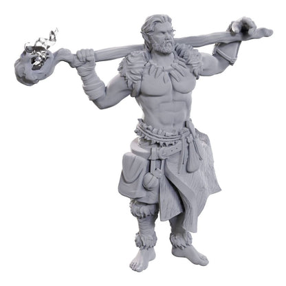 D&amp;D Nolzur's Marvelous Miniatures Ongeverfde Miniaturen 2-Pack Aartsdruïde &amp; Martial Arts Adept