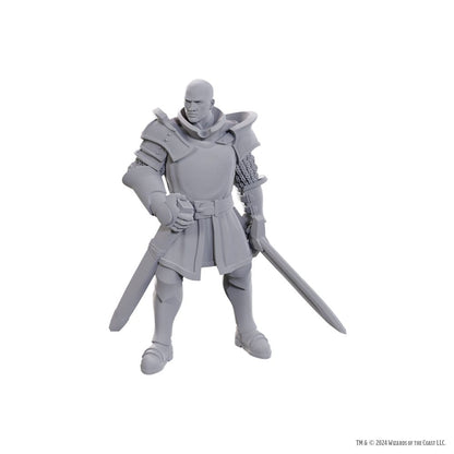 D&D Nolzurs vidunderlige miniaturer umalet miniature Ulder Ravengard & Zevlor