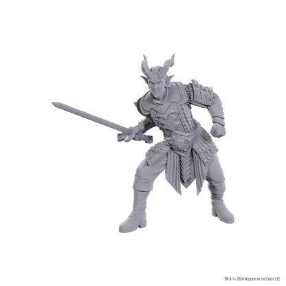 D&D Nolzurs vidunderlige miniaturer umalet miniature Ulder Ravengard & Zevlor