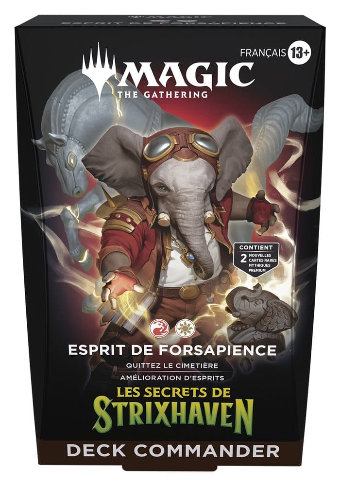 Magic the Gathering Les secrets de Strixhaven Commander Decks Case (5) francese