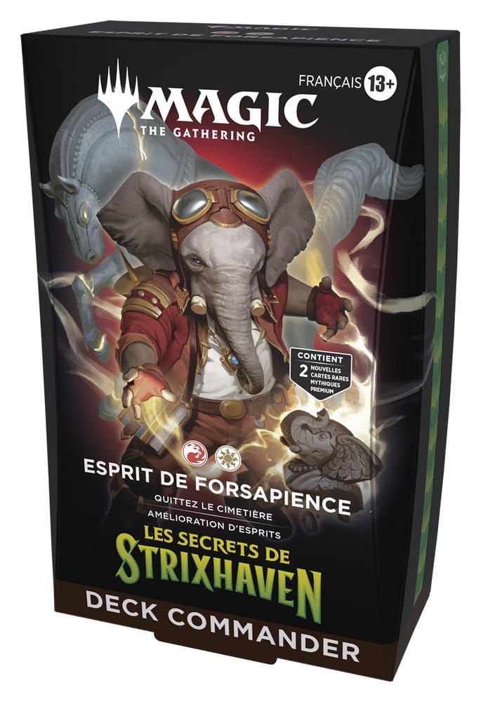 Magic the Gathering Les secrets de Strixhaven Commander Decks Case (5) francese